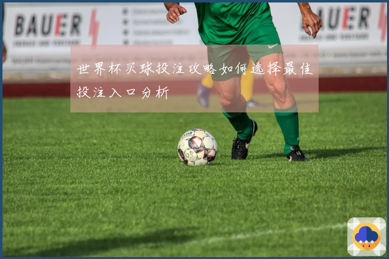 世界杯买球投注攻略如何选择最佳投注入口分析