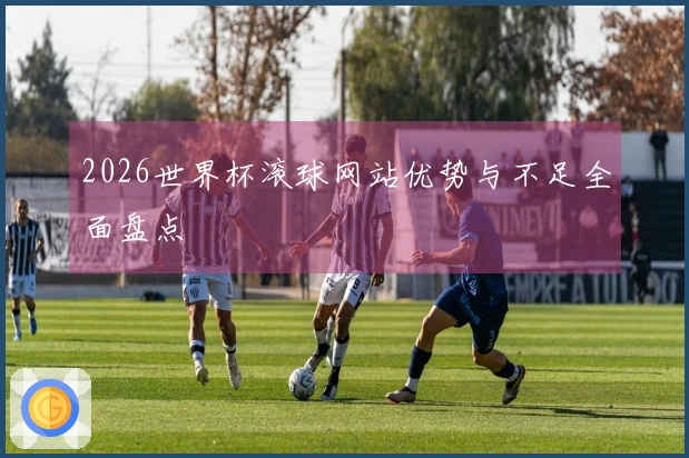 2026世界杯滚球网站优势与不足全面盘点