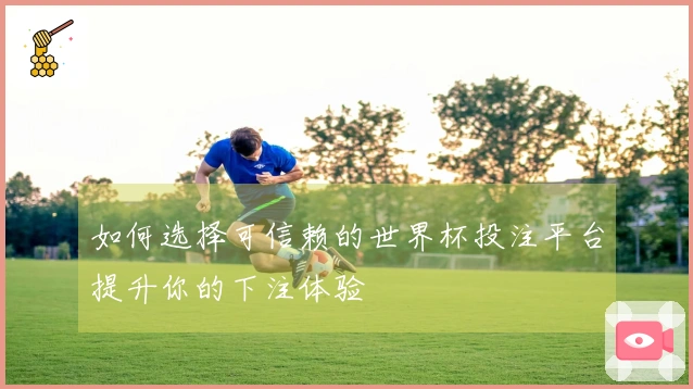 如何选择可信赖的世界杯投注平台提升你的下注体验