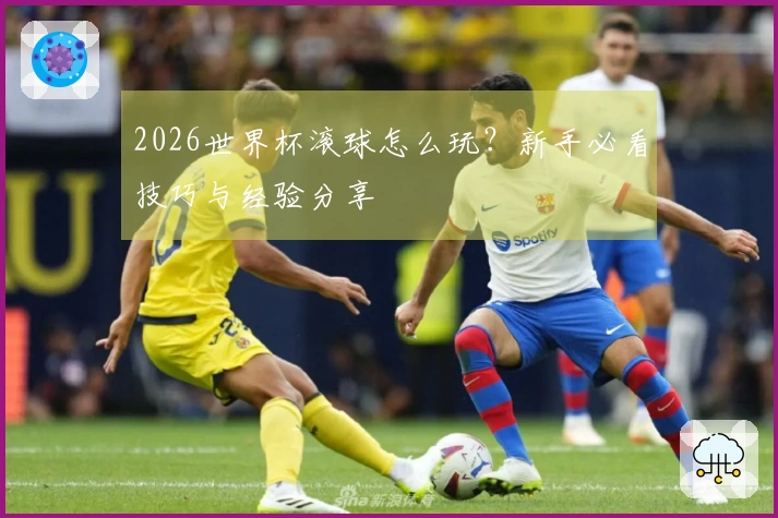 2026世界杯滚球怎么玩？新手必看技巧与经验分享