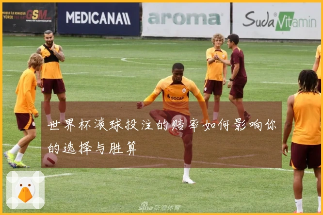 世界杯滚球投注的赔率如何影响你的选择与胜算